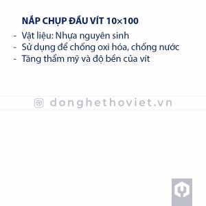Chụp đầu vít 10x100